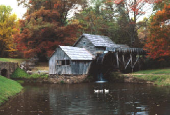 A bucolic picture of nature's landscaping 